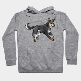 Dog - Carolina Dog - Tri-Color Hoodie